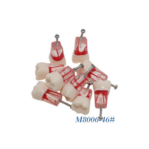 Bloques de estudio de ECA modelo de dientes de práctica de conducto radicular dental para Nissin Kilgore 200 - Imagen 84 de 90