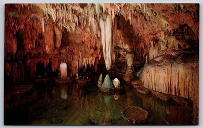 Vintage Lily Pad Room Onondaga Cave Missouri Postcard by Blair Cedar AA73