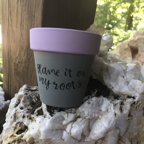 How to Plant a Cracked-Pot Succulent Garden