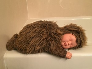 anne geddes hedgehog