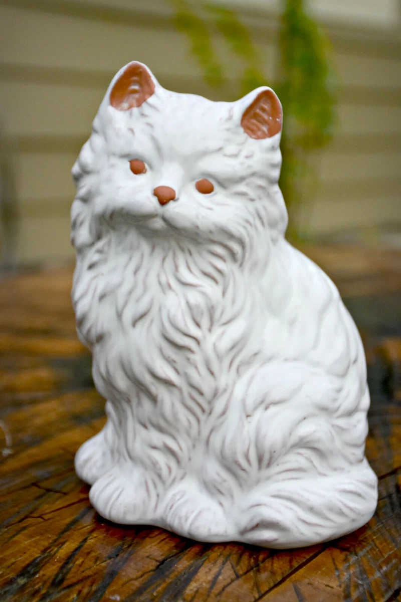 White himalayan kitten sale