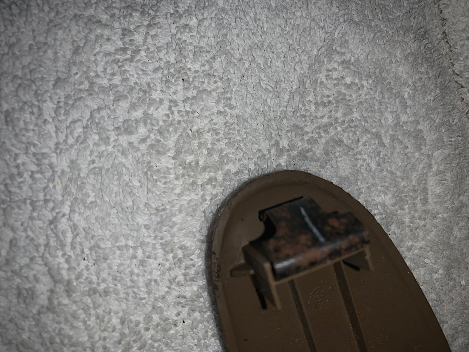 Picture 6 of 6