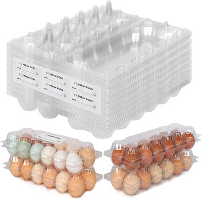 60 Pas Clear Egg Cartons, 2 * 6 Grids Design,  for