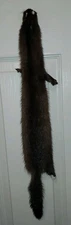 Professionally Tanned Wild Idaho Mink Pelt. In Prime Condition.