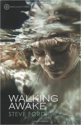 Walking Awake by Steve Ford (English) Paperback Book