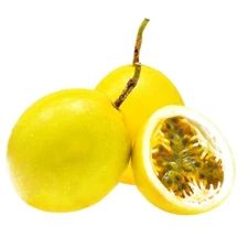 15+ Golden Passion Fruit Seeds Sweet Granadilla Yellow Passion Fruit Seeds USA