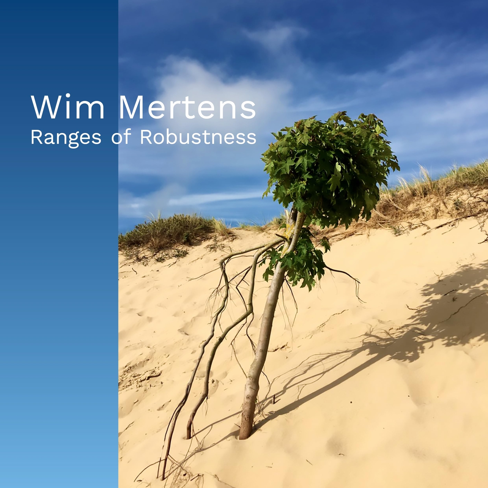 Wim Mertens Ranges Of Robustness (CD)