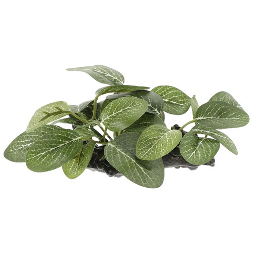 Artificial Water Plants Fake Aquatic Plant Wood Elliptical Leaves Fish Tank