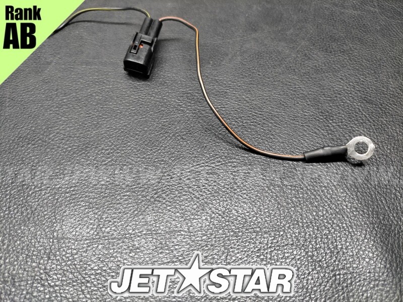 XL1200LTD '00 OEM LEAD WIRE ASSY Used (66V-81315-00) [Y4216 XL1200LTD '00 OEM LEAD WIRE ASSY Used (66V-81315-00) [Y4216