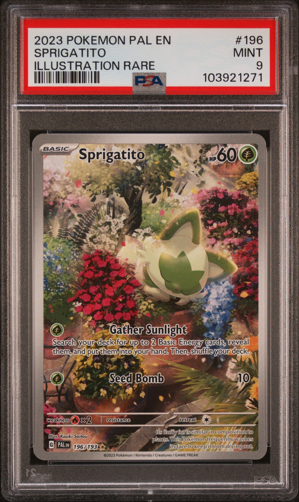 Sprigatito #196