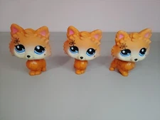 Basic Fun Gen 7 Littlest Pet Shop Series 2 Pomeranian Dog #77 Orange W/Flowers