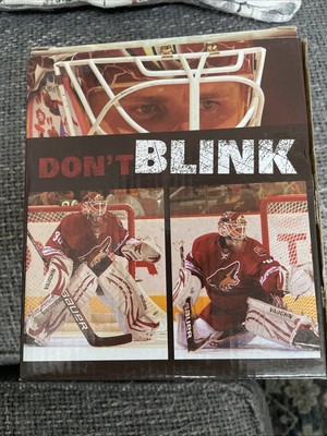 Ilya Bryzgalov PHOENIX COYOTES #30 BOBBLEHEAD FRY'S NIB Fry s  Don t Blink 