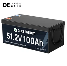 48V 100Ah LiFePO4 Deep Cycle Lithium Battery w/ 100A BMS for Solar RV Off-grid