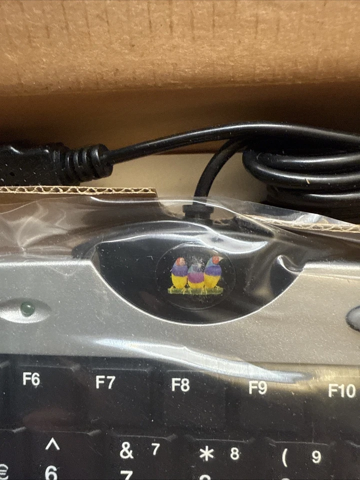 TECLADO VIEWSONIC KU205 Modelo Nº Vsacc26464-1m Foto 4 de 4