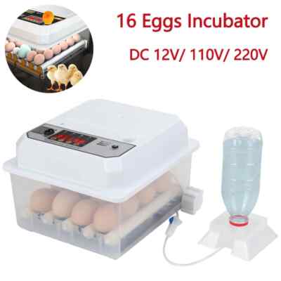 Eggs Incubator Dual Electric Eggs Turning Farm Poultry Fully Automatic Household