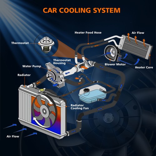 Conjunto de embrague del ventilador de refrigeración del radiador para Chevrolet Trailblazer 2002-2009 4,2 L - Imagen 6 de 11