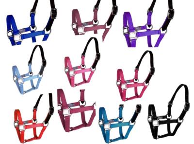 Breakaway Crown Nylon Halter Foal Mini Halter Lot of 10 Or 1. Bright colors!