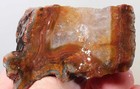 Argentine Condor Agate lapidary 7 oz. rough Lot Dc1 — photo 10
