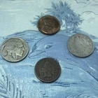 U.S. Coin Lot! Indian Head Cent Wheat Penny Liberty V & Buffalo Nickel. FREE S&H
