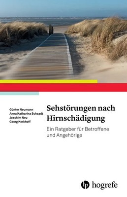 Günter Neumann (u. a.) | Sehstörungen nach Hirnschädigung | Taschenbuch (2015)