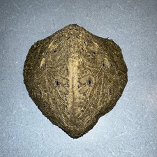 Antique 18th Century Fine Woman's Hat Coif Gold Floral Designs European Beaded