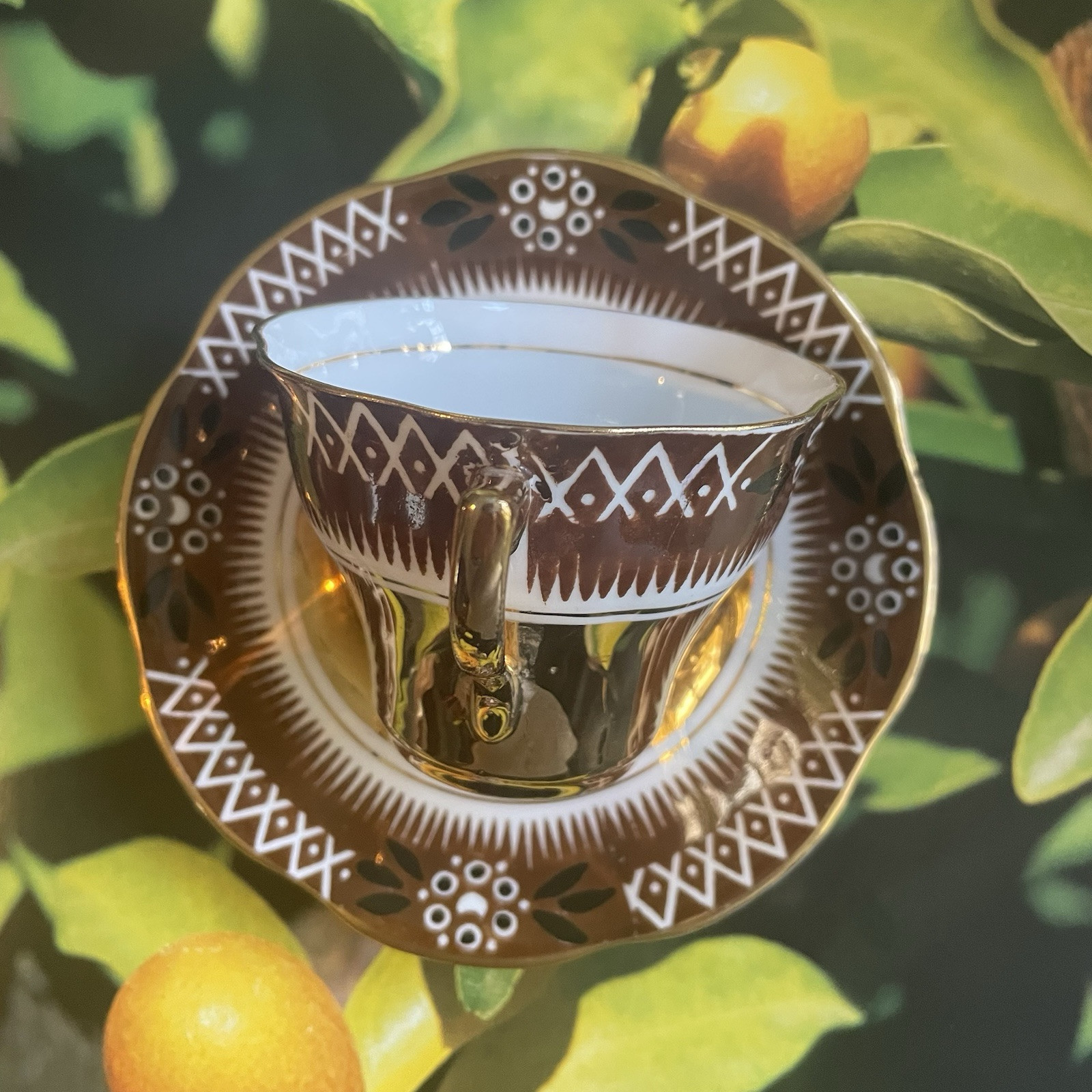 Rosina Bone China Hand Painted Brown & White Heavy Gold Cup & Saucer