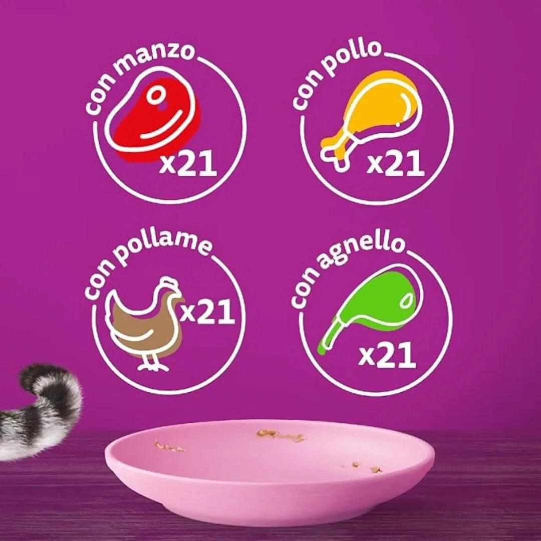 Foto 2 di 5