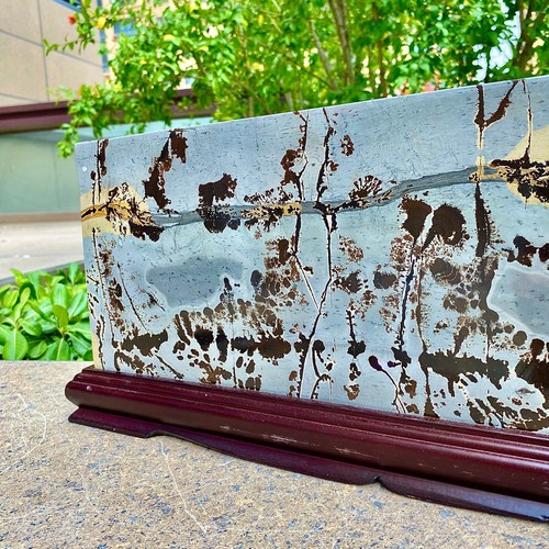 18.69LB Rare National Treasure Fossil - Authentic Collectible Stone Specimen - 第 12/18 張圖片