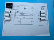 Type Heresy II Rebuild Kit Gold Edition (2 Speakers) - FREE US Shipping!