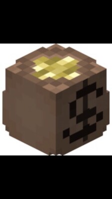 100m hypixel skyblock / schnell / deutsch /Beschreibung lesen / Discord: pfuki