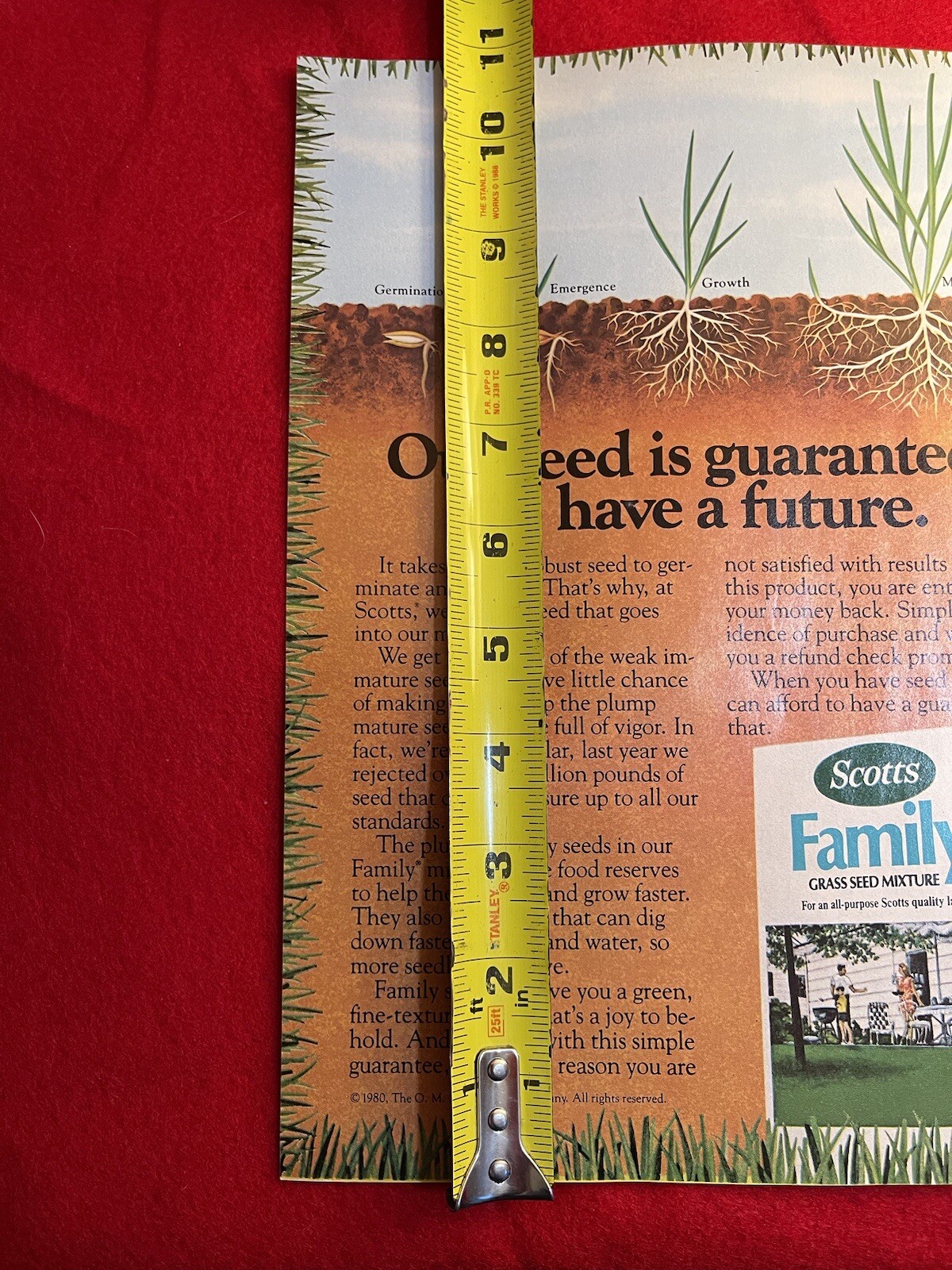 Picture 6 of 7