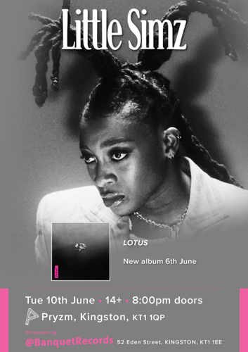 Little Simz - Lotus - CD Album (Released 6th June 2025) Brand New - Picture 2 of 3