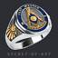 Indexbild 2 - Past Master Ring Freimaurer Masonic 925 Silber Gold-Plattierung, blau emailliert