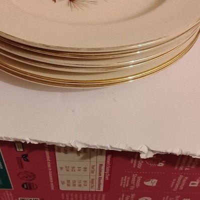 Set 6 Cunningham& Picket Princess Pinecone dinner plates gold trim