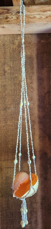 Hanging Shell Planter Holder, Orange/White Shell Shape for Porch or Balcony