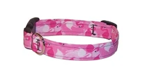 Wet Nose Designs Colorful Hot Pink Flamingos Dog Collar Flamingo Tropical Summer