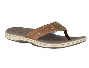 sperry baitfish flip flops