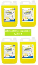 Heavy Duty Floor and Surface Cleaner and Degreaser Liquid Grease Remover 5L