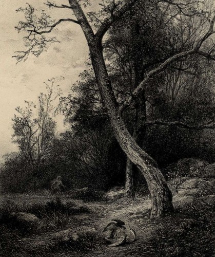 Edmond Louis Marie Wagrez Chasse Faucon Fauconnerie Lithographie Karl Bodmer