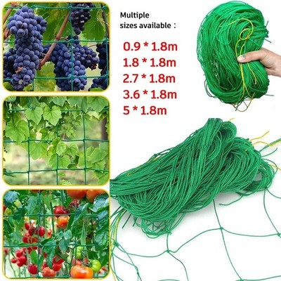 Garden Plant Climbing Trellis Net Nylon Support Netting for Beans Cucumbers Vine
