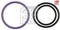 Febi Bilstein 103743 Dichtungssatz FüR EinspritzdüSe