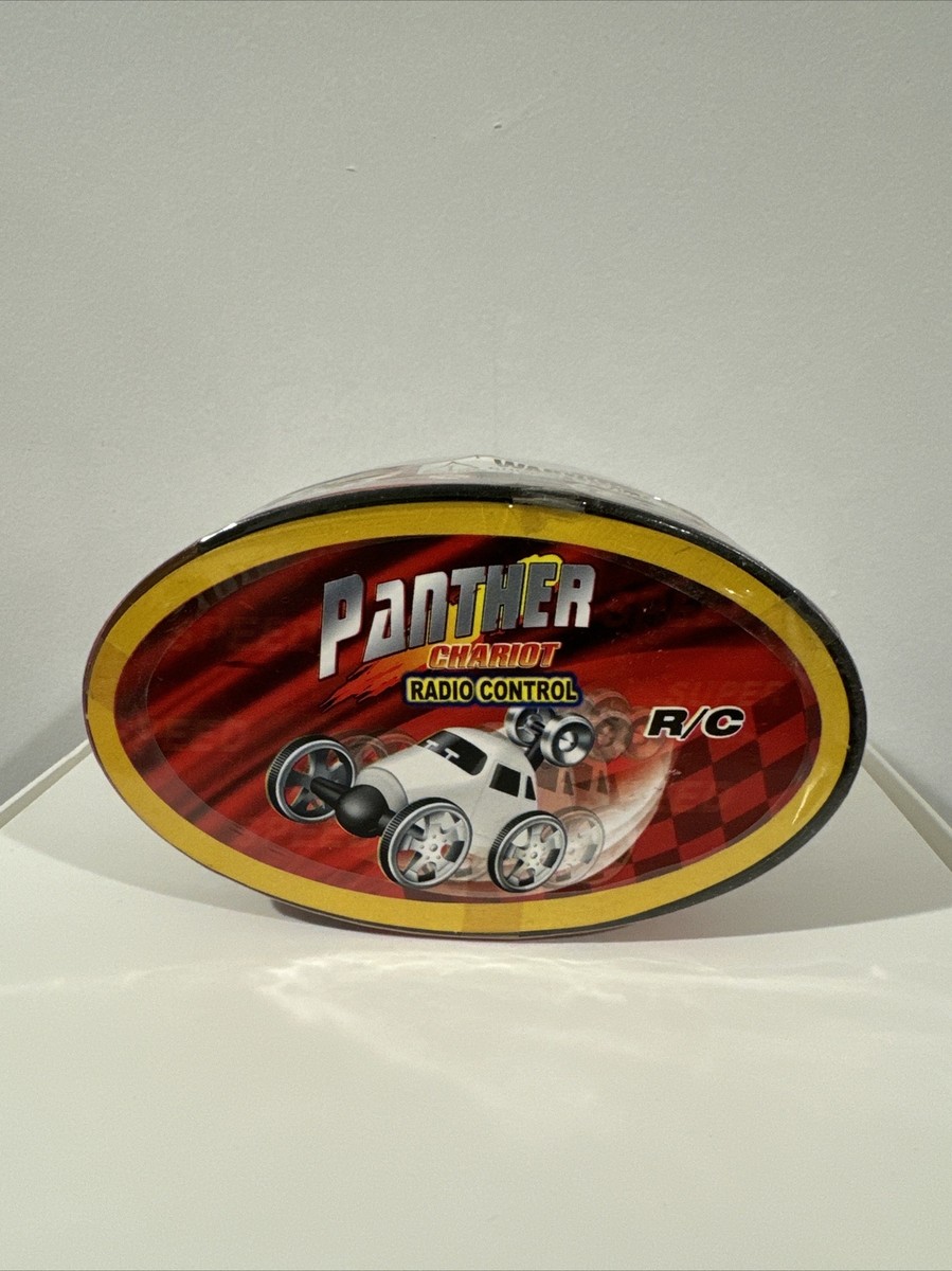 Radio Control Panther Chariot 3381 The Turbo Mini WRC Car **NEW**