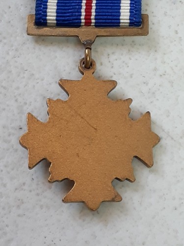 Vintage US Military Distinguished Flying Cross Medal Pin United States Original - Picture 5 of 5