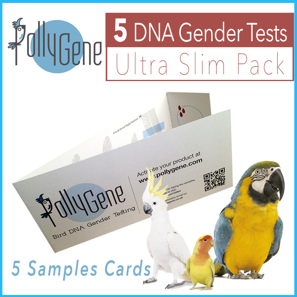 5 Bird Slim DNA Gender Sexing Tests for Parrots, Lovebirds &