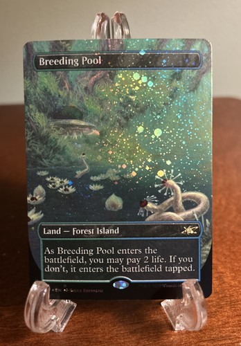 MTG Breeding Pool (Borderless) Unfinity Galaxy Foil UNF LP Shock Land Magic - Bild 1 von 2