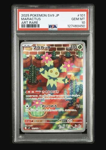 The Pokémon Company 2025 Pokemon TCG SV9 Battle Partners Maractus 101/100 PSA 10