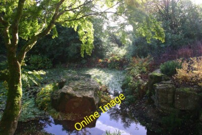 Photo 6x4 Batsford Arboretum (10) -  pool, Batsford, Glos This pool is ne c2013