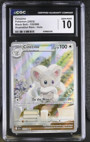 Cinccino graded CGC 10 for sale on eBay