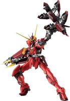 Robot Spirits Side Ms Testament Gundam Figur Mobile Suit Seed Destiny Astray Jp