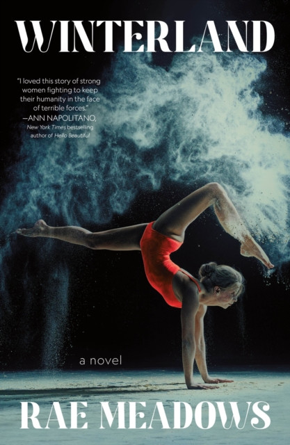 Winterland by Rae Meadows (Paperback Book)